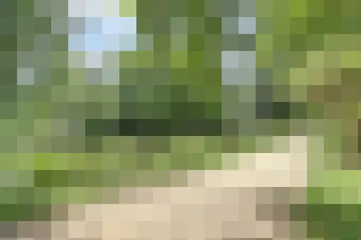 Jhr. Van Karnebeekweg 32 Ridderkerk thumbnail 18