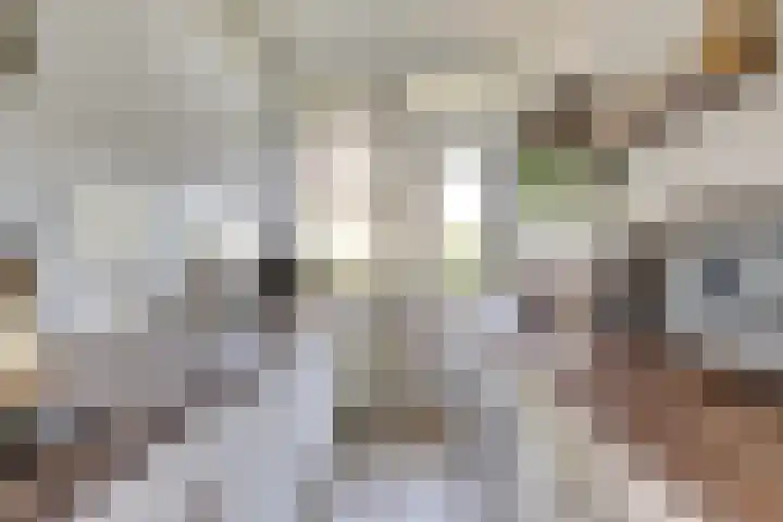 Jhr. Van Karnebeekweg 32 Ridderkerk thumbnail 9