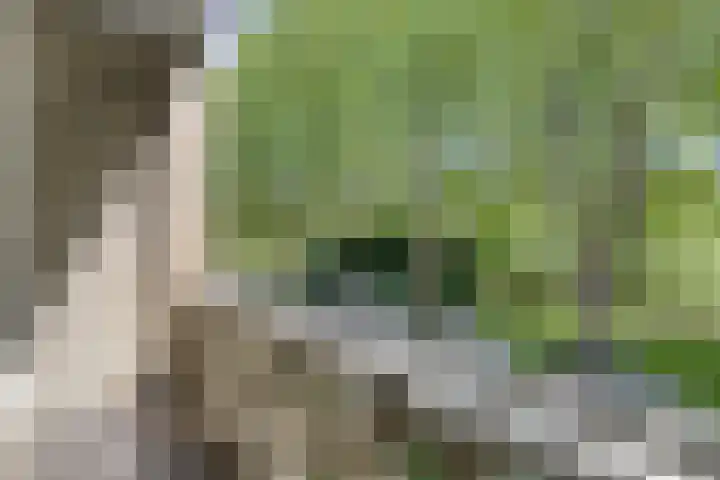 Jhr. Van Karnebeekweg 34 Ridderkerk thumbnail 12