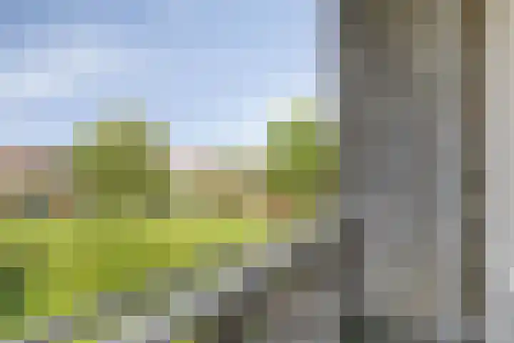 Jhr. Van Karnebeekweg 34 Ridderkerk thumbnail 16