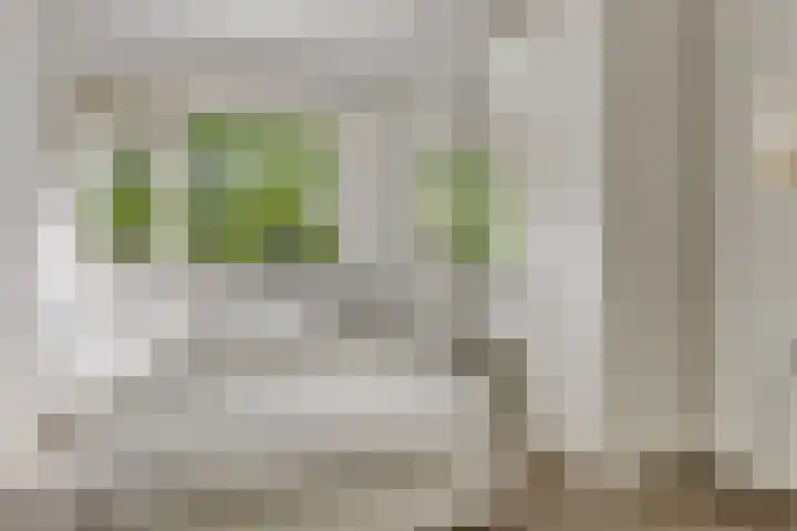 Jhr. Van Karnebeekweg 34 Ridderkerk thumbnail 17