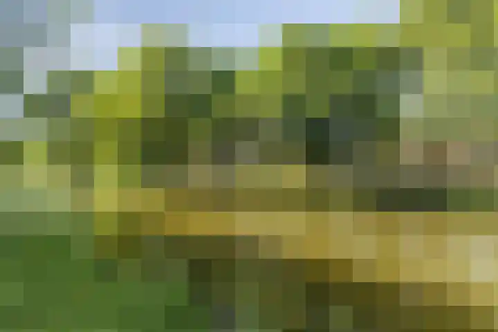 Jhr. Van Karnebeekweg 34 Ridderkerk thumbnail 23