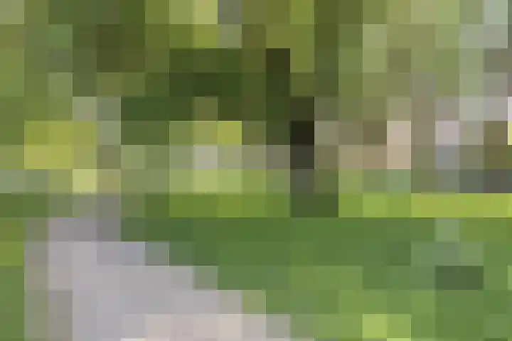 Jhr. Van Karnebeekweg 34 Ridderkerk thumbnail 5