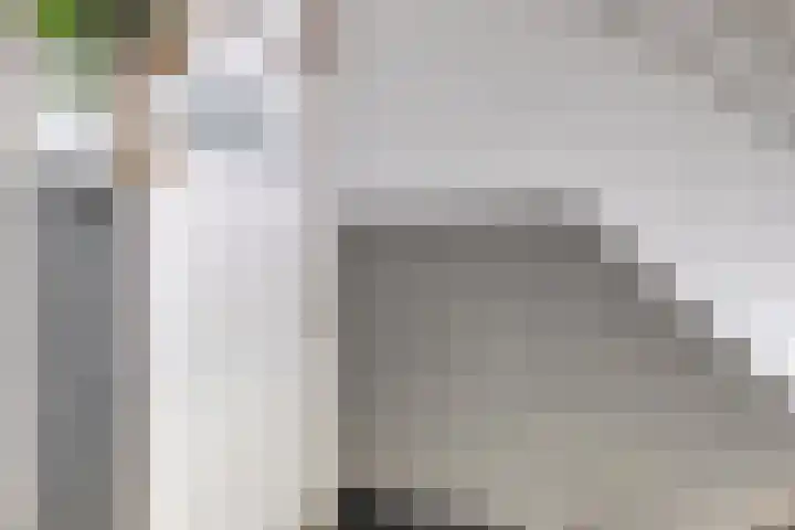 Jhr. Van Karnebeekweg 34 Ridderkerk thumbnail 8