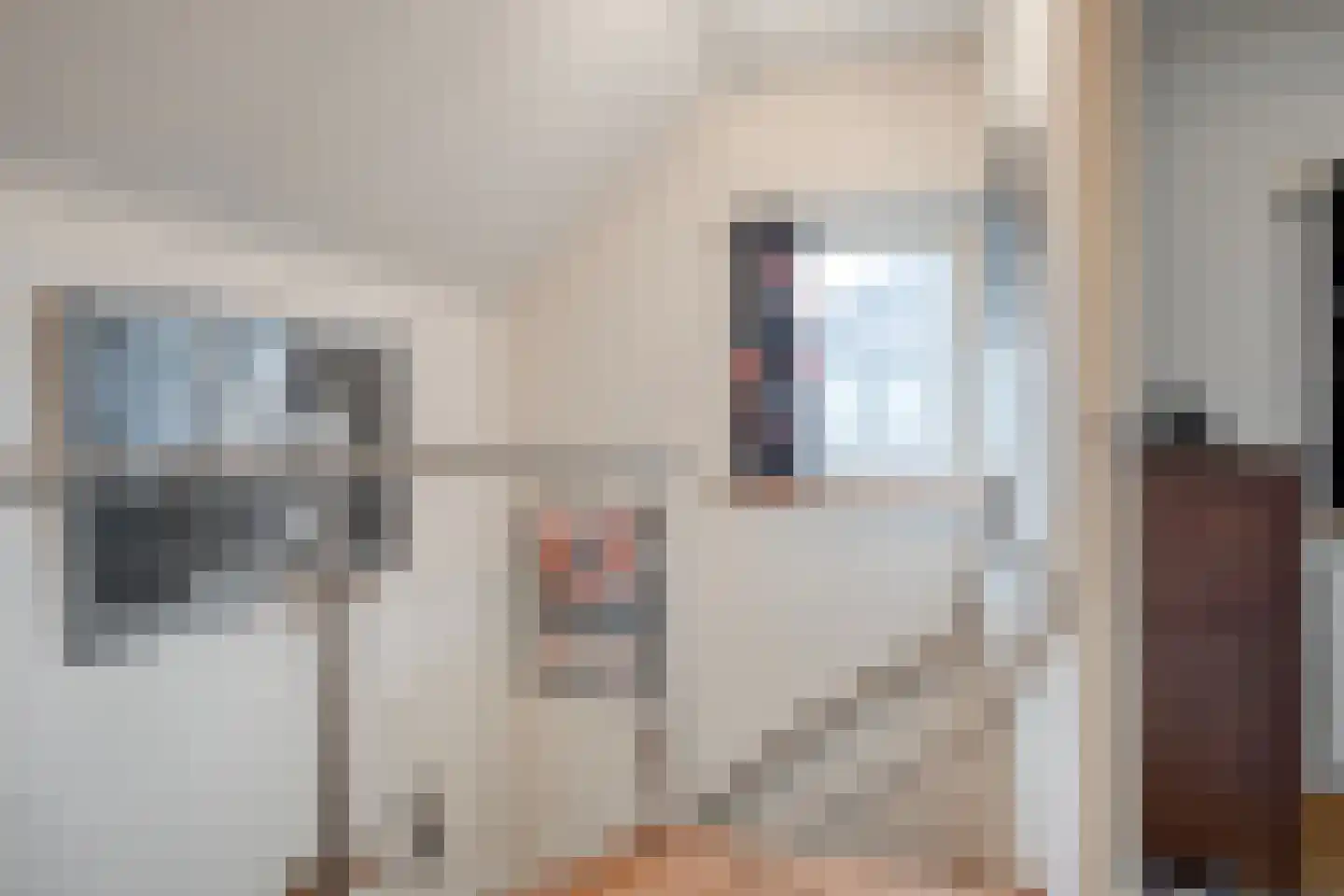 Jhr.van Nahuysstraat 56 Ommen thumbnail 29