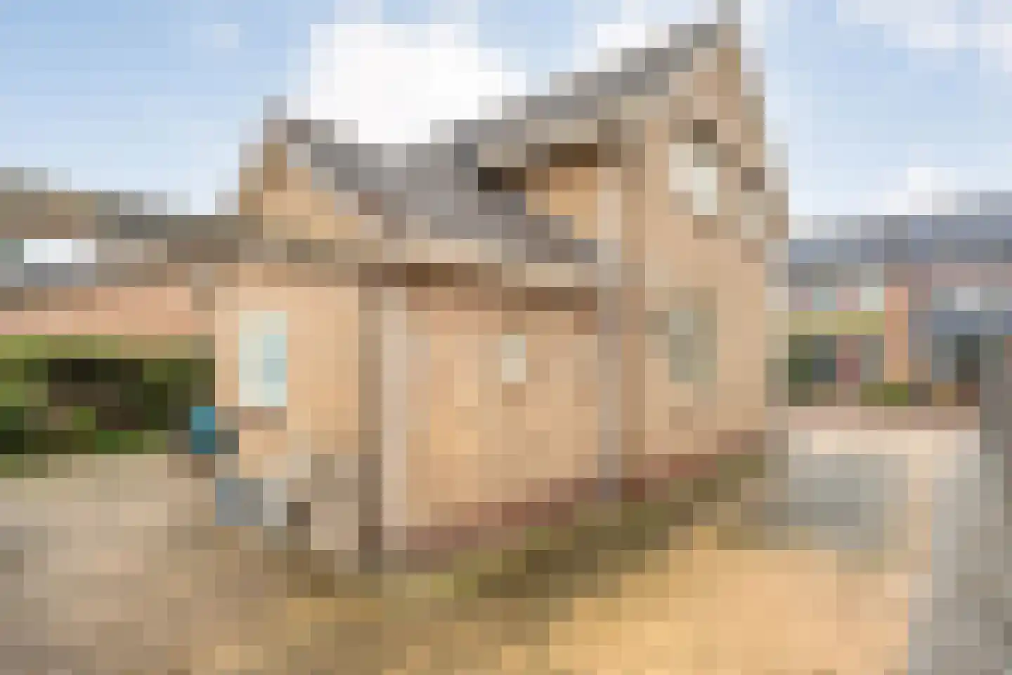 Jhr.van Nahuysstraat 56 Ommen thumbnail 31