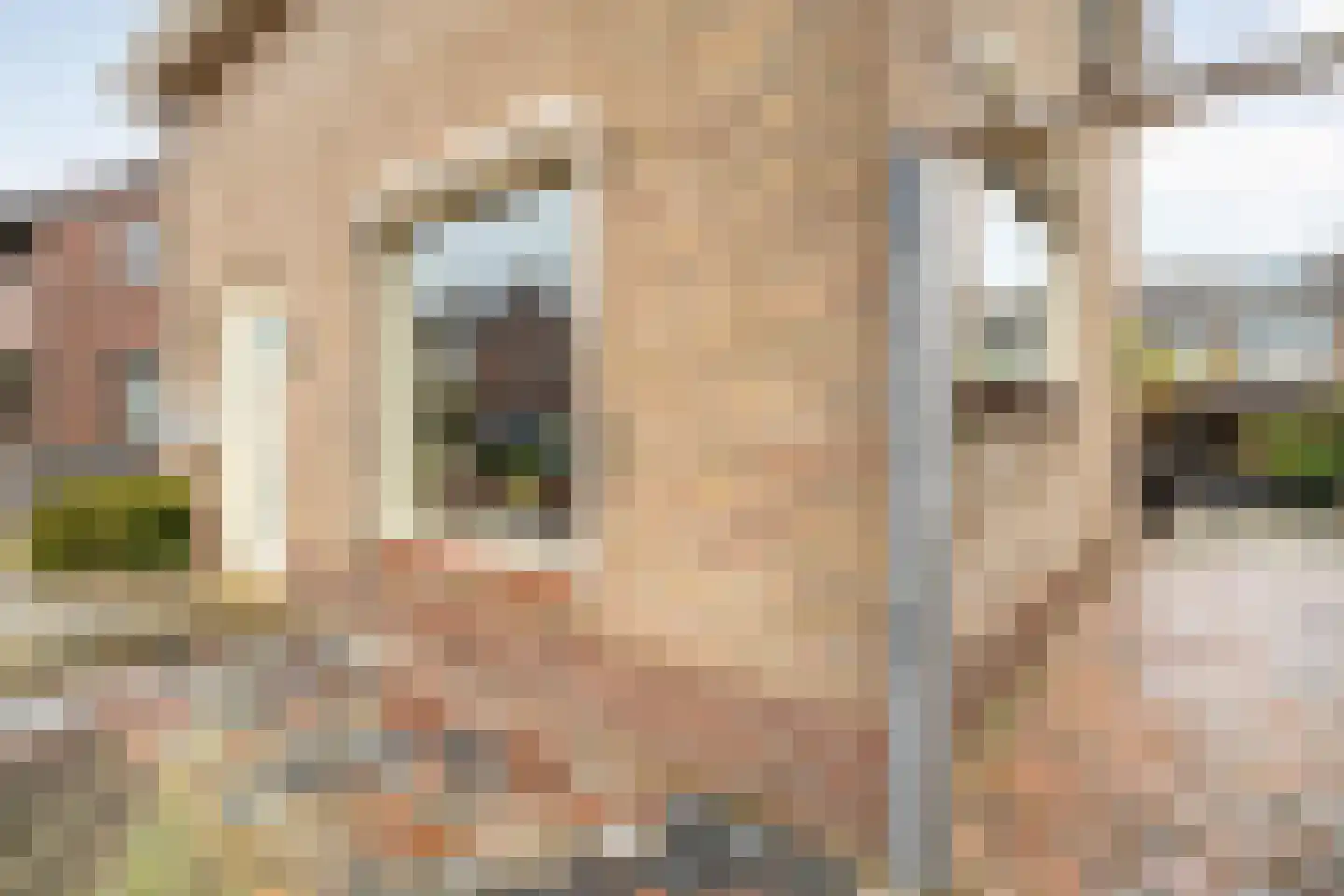 Jhr.van Nahuysstraat 56 Ommen thumbnail 34