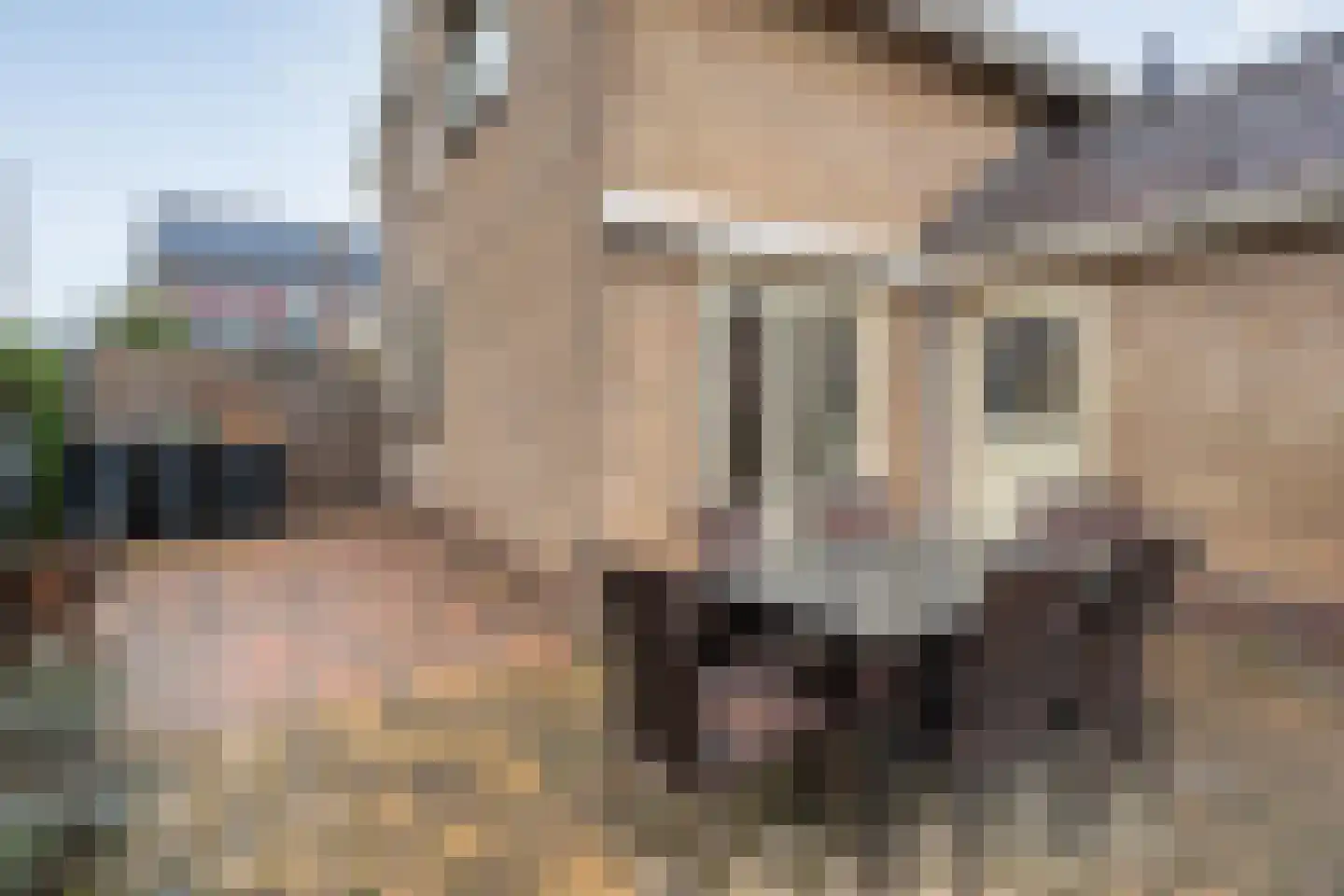 Jhr.van Nahuysstraat 56 Ommen thumbnail 38