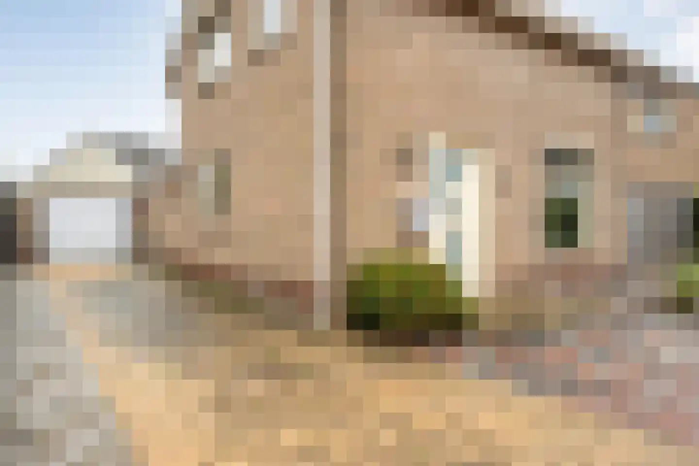 Jhr.van Nahuysstraat 56 Ommen thumbnail 45