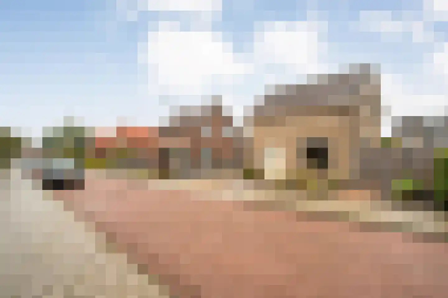 Jhr.van Nahuysstraat 56 Ommen thumbnail 46