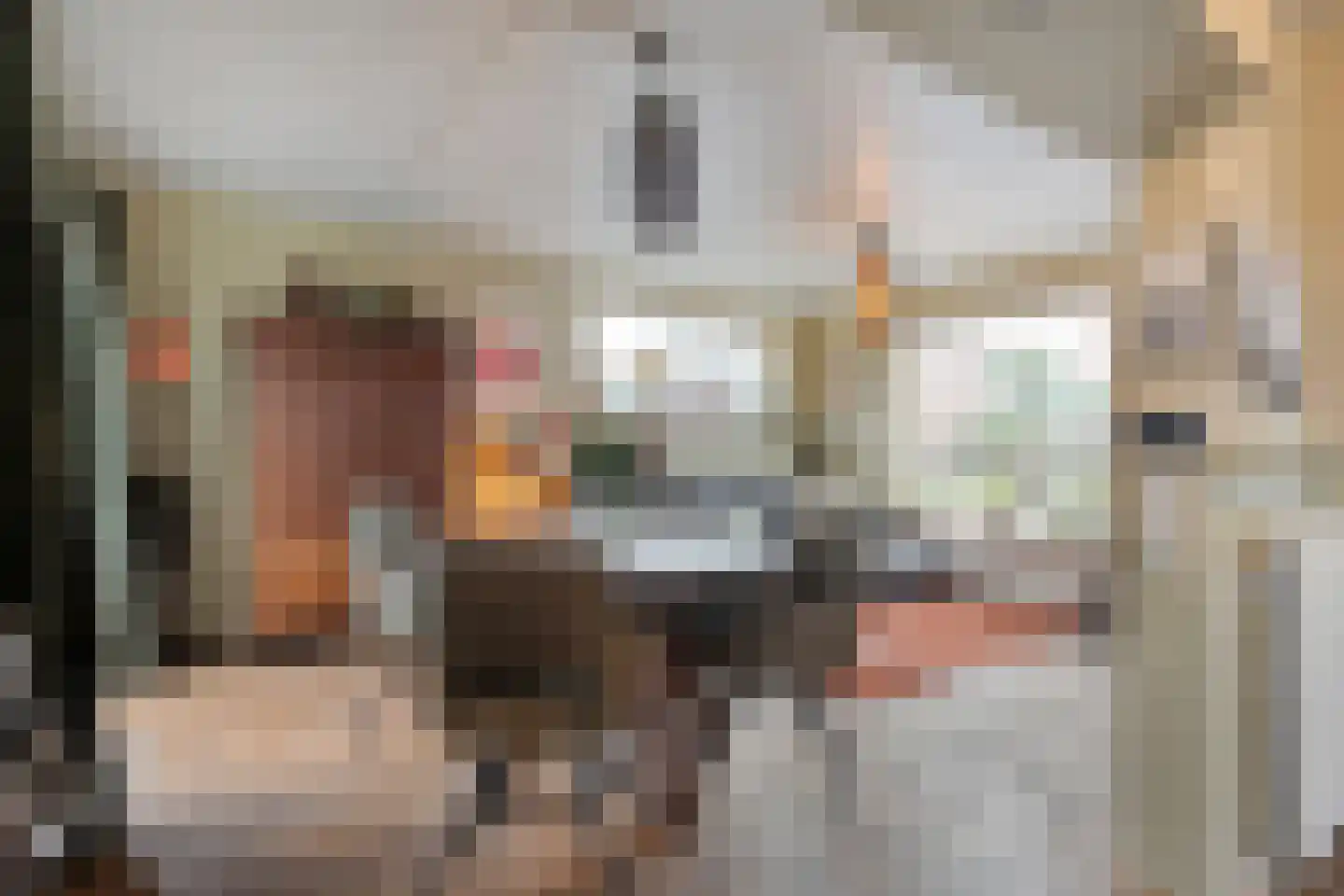 Jhr.van Nahuysstraat 56 Ommen thumbnail 9