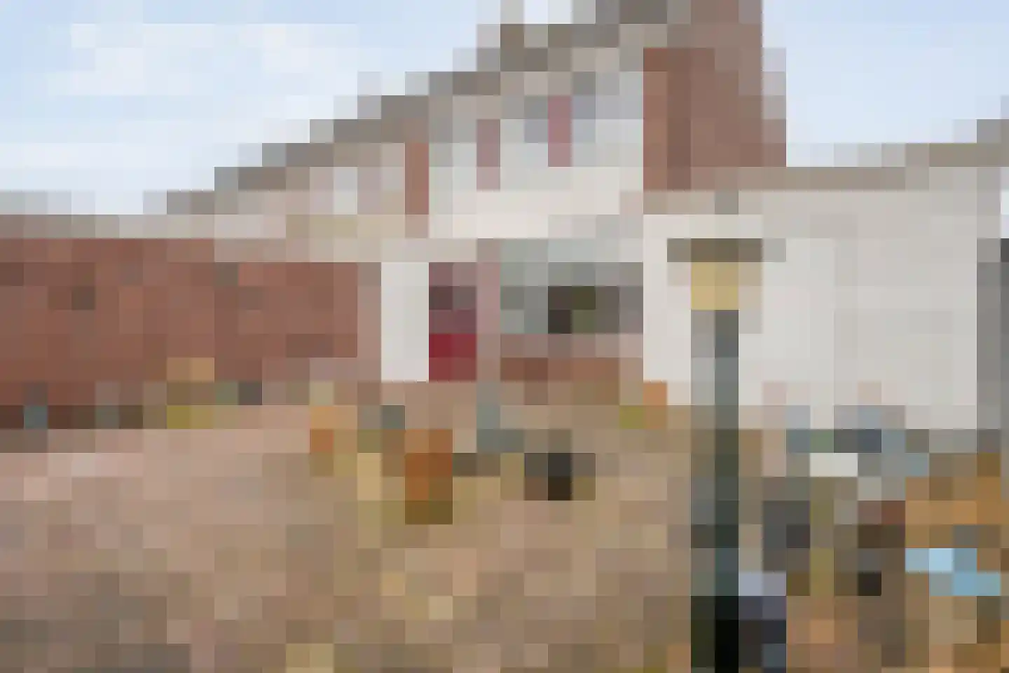 Jhr.van Nahuysstraat 57 Ommen thumbnail 28