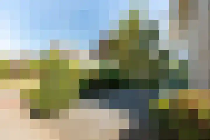 Jhr. van Sypesteynlaan 53 c Loosdrecht thumbnail 31