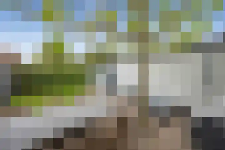Jhr. van Sypesteynlaan 8 Loosdrecht thumbnail 10