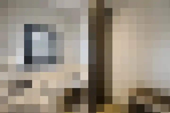Jhr. van Sypesteynlaan 8 Loosdrecht thumbnail 30