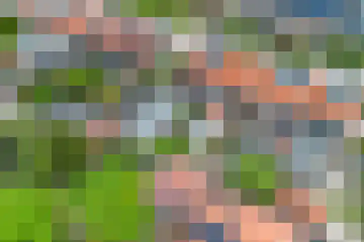 Jhr. van Sypesteynlaan 8 Loosdrecht thumbnail 41