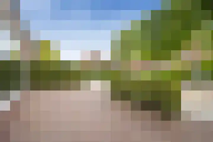 Jhr. van Sypesteynlaan 8 Loosdrecht thumbnail 46