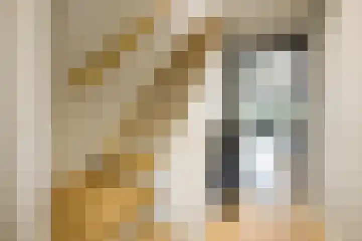 Jhr. van Sypesteynlaan 8 Loosdrecht thumbnail 5