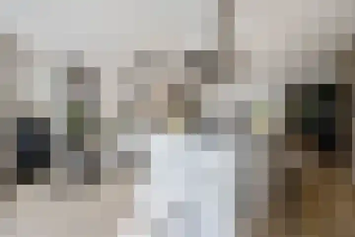 Jhr. van Sypesteynlaan 8 Loosdrecht thumbnail 9