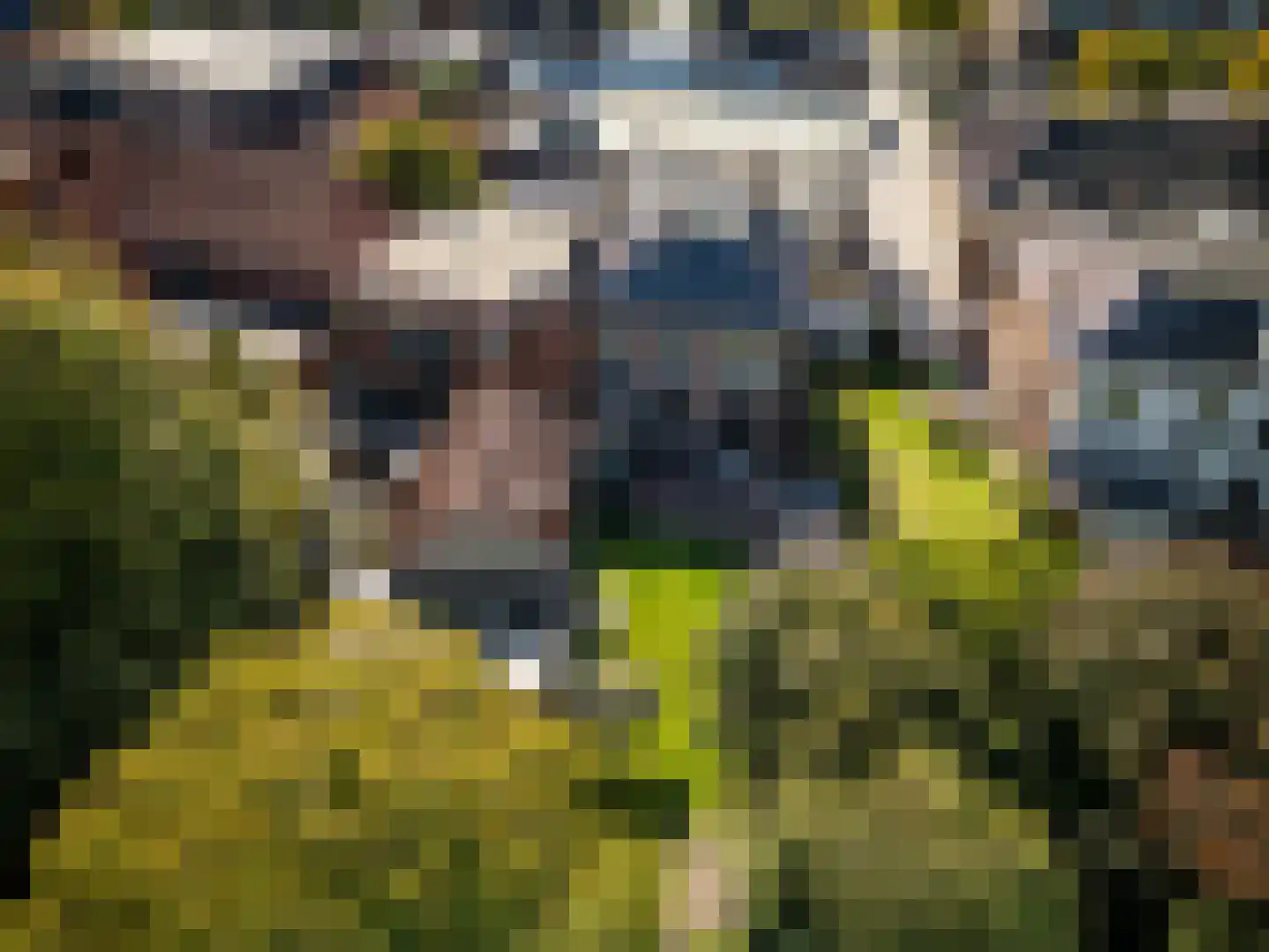Jhr.von Heijdenstraat 11 Haaksbergen thumbnail 9