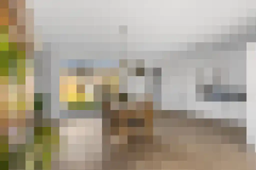 Jikke Reinbergenstrjitte 102 Gorredijk thumbnail 15