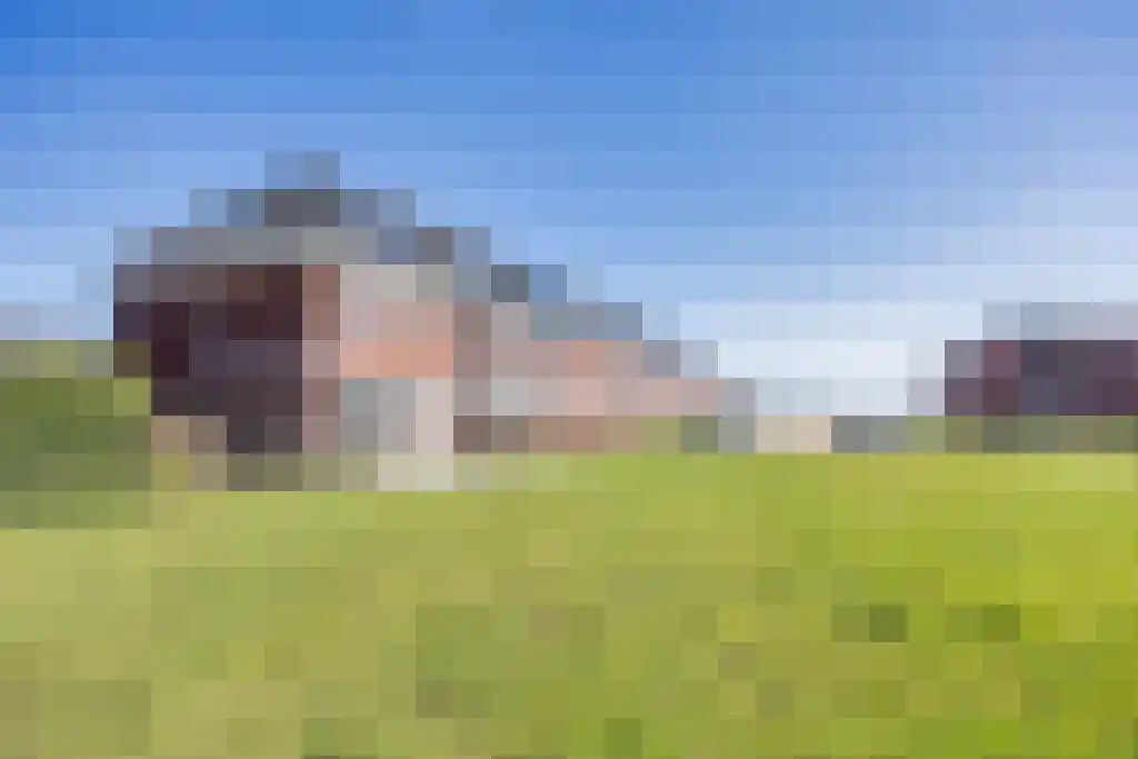 Jikke Reinbergenstrjitte 102 Gorredijk thumbnail 34