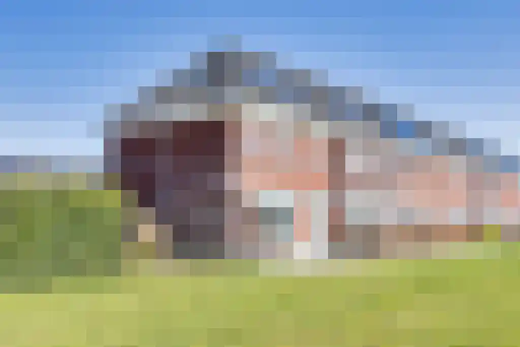 Jikke Reinbergenstrjitte 102 Gorredijk thumbnail 35