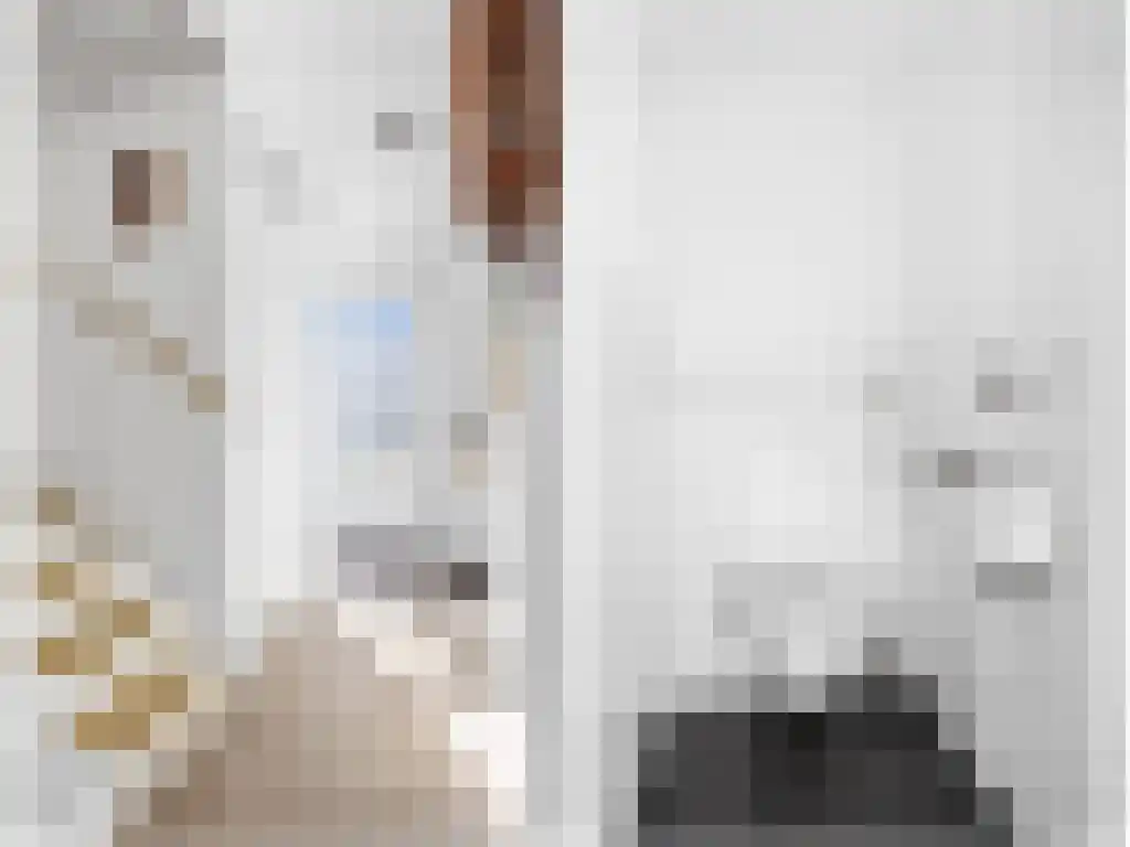 Jikke Reinbergenstrjitte 102 Gorredijk thumbnail 5
