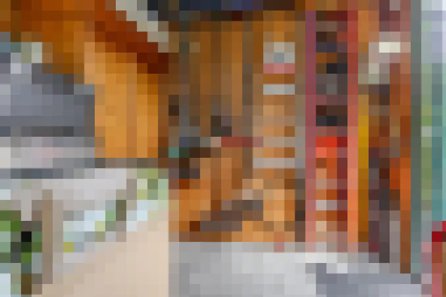 Jikke Reinbergenstrjitte 16 Gorredijk thumbnail 16