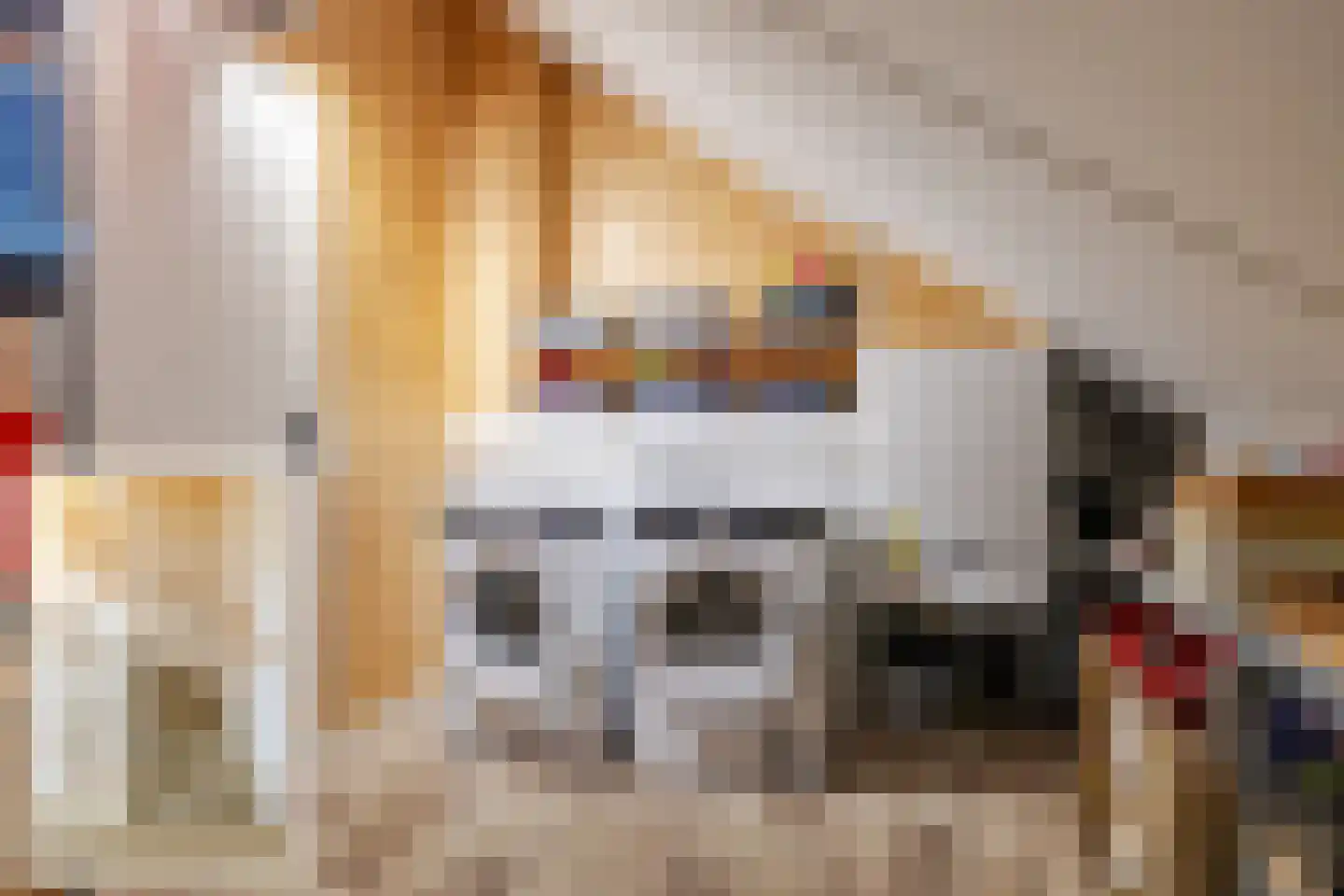 Jikke Reinbergenstrjitte 16 Gorredijk thumbnail 43