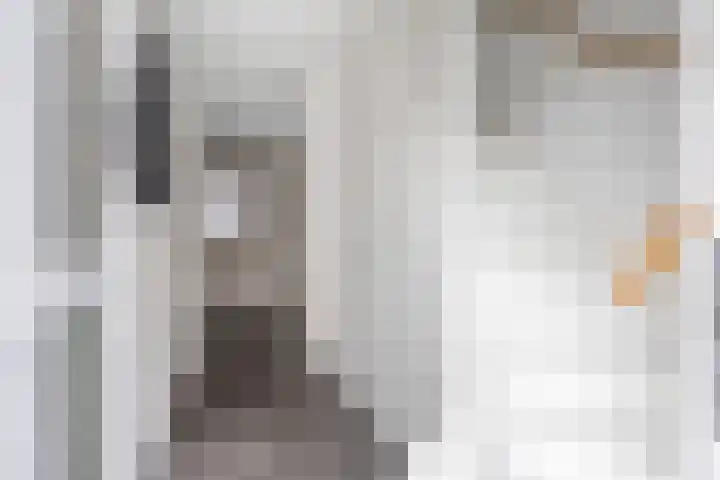Jikke Reinbergenstrjitte 18 Gorredijk thumbnail 10