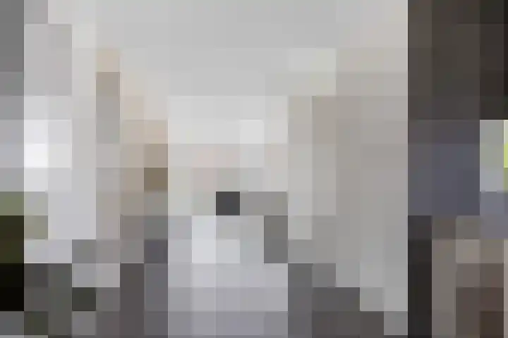 Jikke Reinbergenstrjitte 18 Gorredijk thumbnail 12