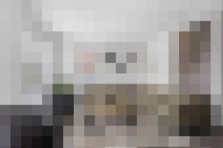 Jikke Reinbergenstrjitte 18 Gorredijk thumbnail 13