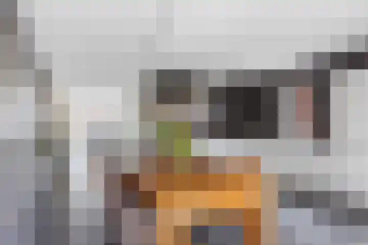 Jikke Reinbergenstrjitte 18 Gorredijk thumbnail 16
