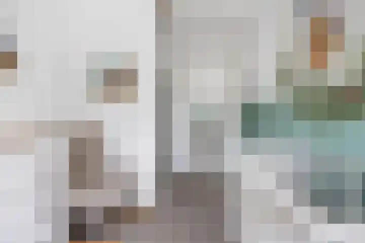 Jikke Reinbergenstrjitte 18 Gorredijk thumbnail 22