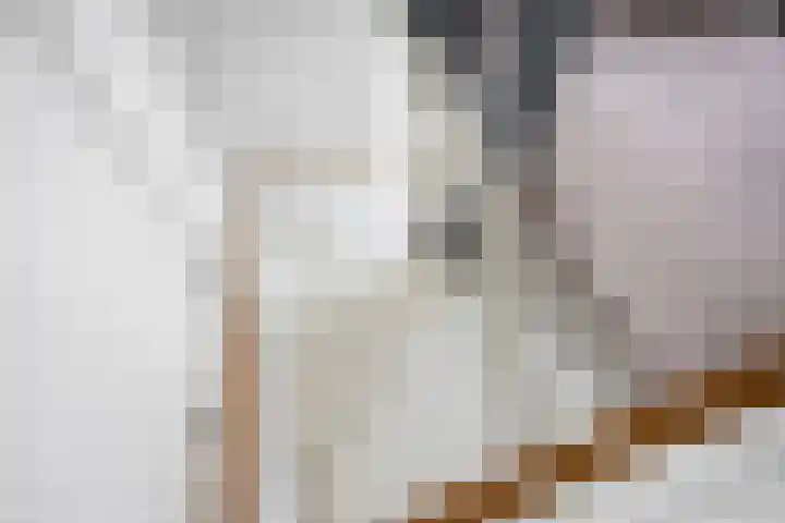 Jikke Reinbergenstrjitte 18 Gorredijk thumbnail 28
