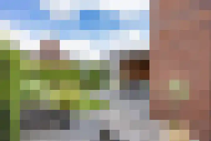 Jikke Reinbergenstrjitte 18 Gorredijk thumbnail 31