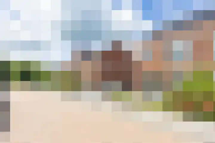 Jikke Reinbergenstrjitte 18 Gorredijk thumbnail 35