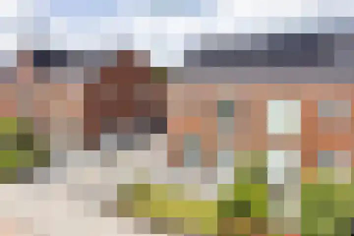 Jikke Reinbergenstrjitte 18 Gorredijk thumbnail 36