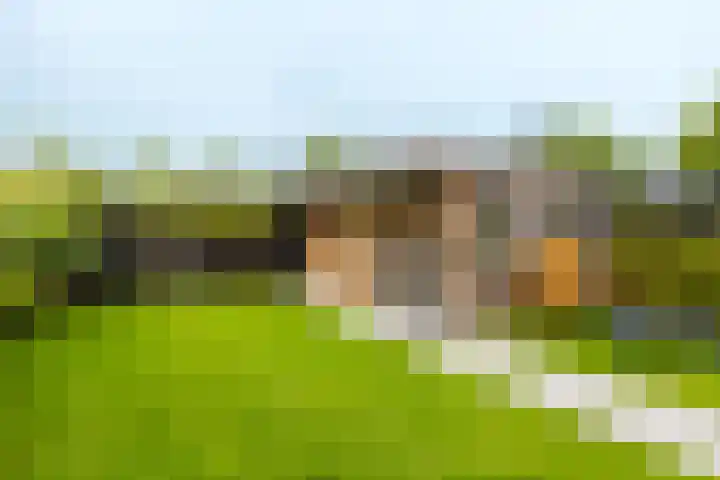 Jikke Reinbergenstrjitte 4 A Gorredijk thumbnail 13