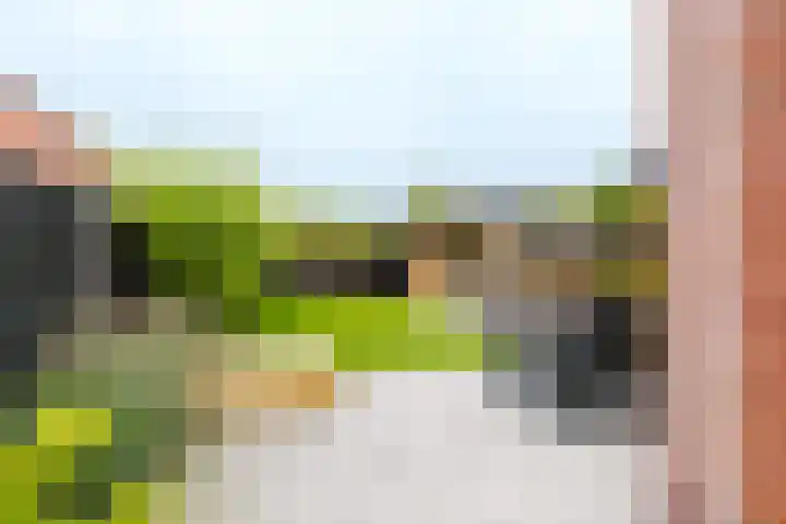 Jikke Reinbergenstrjitte 4 A Gorredijk foto 2