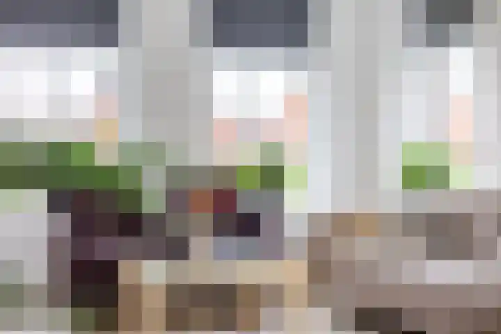 Jikke Reinbergenstrjitte 4 A Gorredijk thumbnail 24