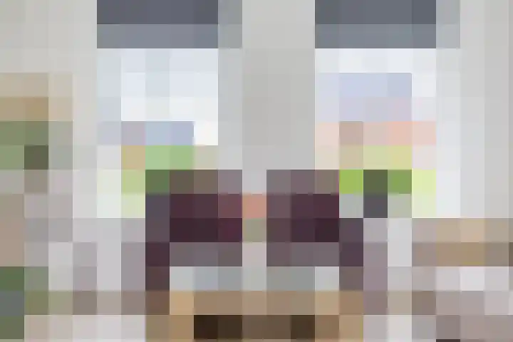 Jikke Reinbergenstrjitte 4 A Gorredijk thumbnail 26