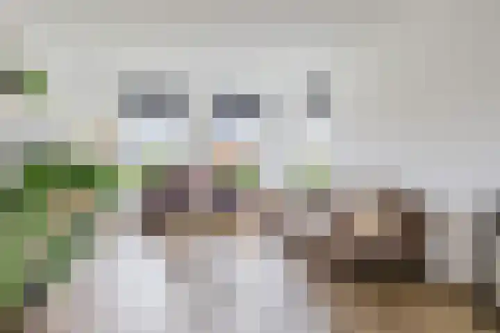 Jikke Reinbergenstrjitte 4 A Gorredijk foto 3