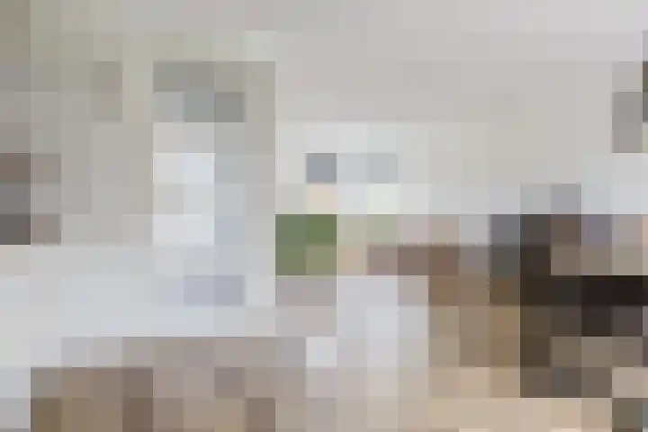 Jikke Reinbergenstrjitte 4 A Gorredijk thumbnail 30
