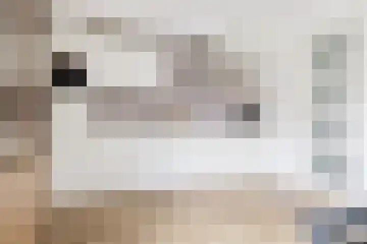 Jikke Reinbergenstrjitte 4 A Gorredijk thumbnail 31