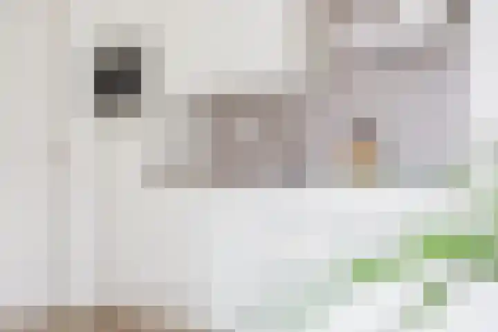 Jikke Reinbergenstrjitte 4 A Gorredijk thumbnail 4