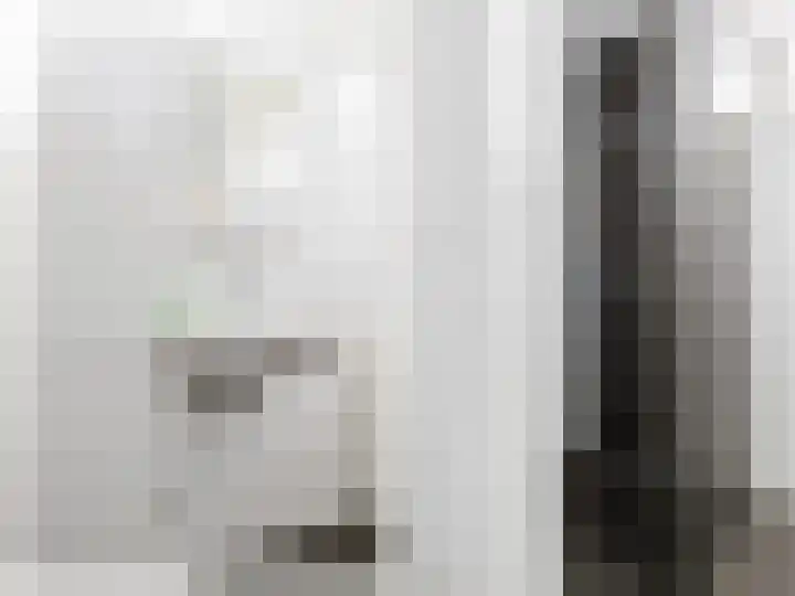 Jikke Reinbergenstrjitte 4 A Gorredijk thumbnail 40