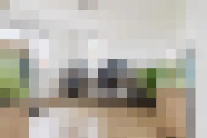 Jikke Reinbergenstrjitte 4 A Gorredijk thumbnail 42