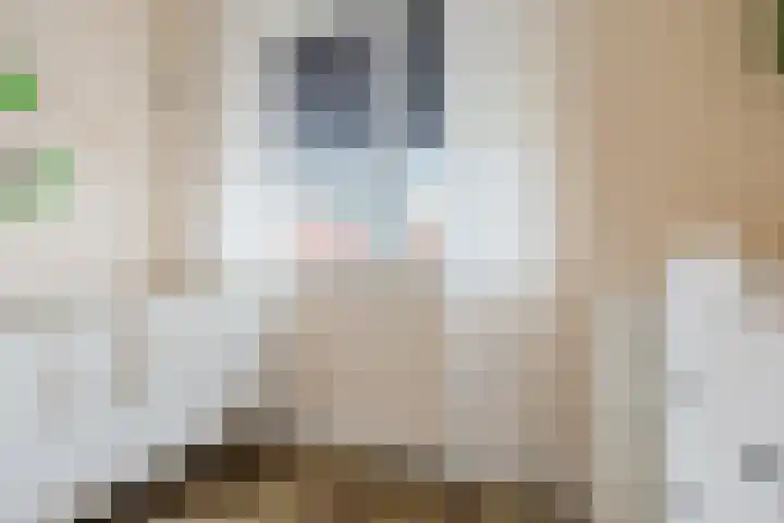 Jikke Reinbergenstrjitte 4 A Gorredijk thumbnail 48